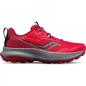 Saucony Blaze TR Trailrunning Schuhe Damen Rosa | SCHWEIZ IPADV