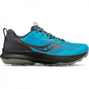 Saucony Blaze TR Trailrunning Schuhe Herren Blau | SCHWEIZ ZSRVD