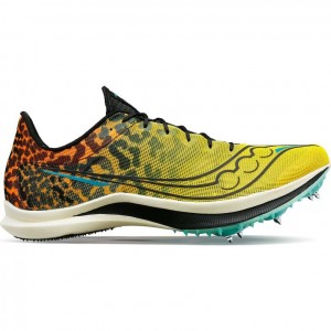 Saucony Endorphin Cheetah Laufschuhe Damen Mehrfarbig | SCHWEIZ KQZNB