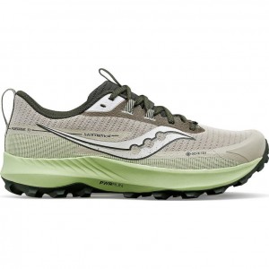 Saucony Peregrine 13 GTX Laufschuhe Herren Grau Mintfarben | SCHWEIZ QKYVP