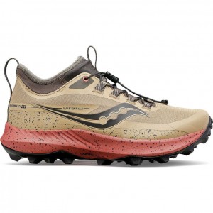 Saucony Peregrine 13 ST Trailrunning Schuhe Damen Braun | SCHWEIZ ZBFGW