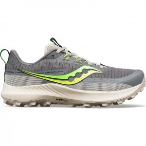 Saucony Peregrine 13 Trailrunning Schuhe Herren Grau | SCHWEIZ KTNGC