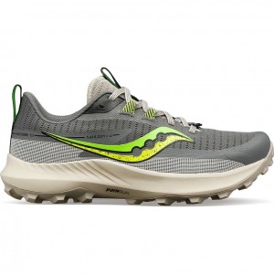 Saucony Peregrine 13 Trailrunning Schuhe Damen Grau | SCHWEIZ NBVZR