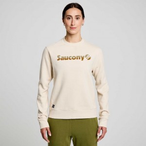 Saucony Recovery Crew Sweatshirt Damen Beige | SCHWEIZ IANCH