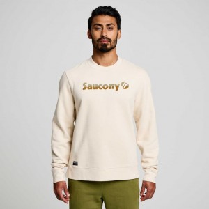 Saucony Recovery Crew Sweatshirt Herren Weiß | SCHWEIZ KFWIB