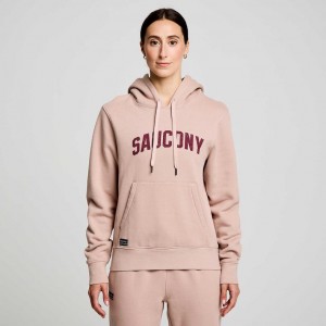 Saucony Recovery Hoodie Damen Rosa | SCHWEIZ SLXZN