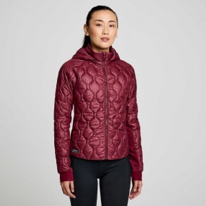 Saucony Solstice Oysterpuff Jacke Damen Bordeaux | SCHWEIZ YOZFH