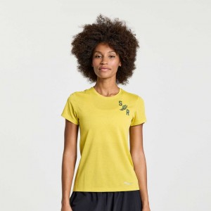 Saucony Stopwatch Graphic Kurzes Sleeve T-Shirt Damen Gelb | SCHWEIZ GNLIP