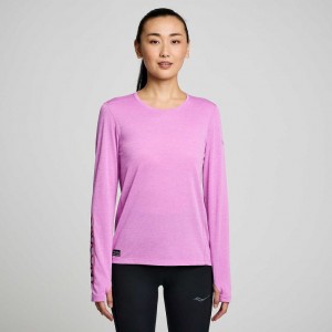 Saucony Stopwatch Graphic Long Sleeve T-Shirt Damen Lila | SCHWEIZ KIDON