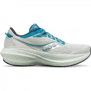 Saucony Triumph 21 Laufschuhe Damen Weiß | SCHWEIZ PLXAS