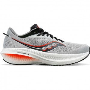 Saucony Triumph 21 Laufschuhe Herren Grau | SCHWEIZ VUWRM