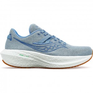 Saucony Triumph RFG Laufschuhe Damen Blau | SCHWEIZ DWKHC