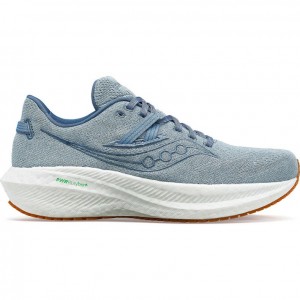 Saucony Triumph RFG Laufschuhe Herren Blau | SCHWEIZ IOKTW