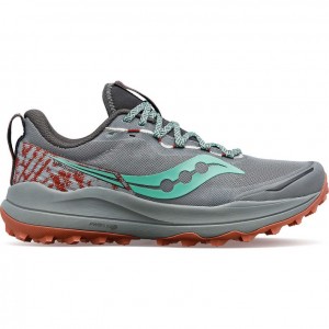 Saucony Xodus Ultra 2 Trailrunning Schuhe Damen Grau | SCHWEIZ MVKUD