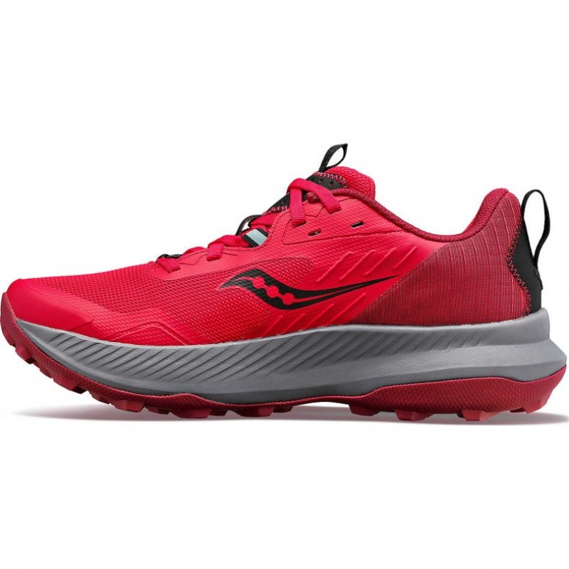 Saucony Blaze TR Trailrunning Schuhe Damen Rosa | SCHWEIZ IPADV