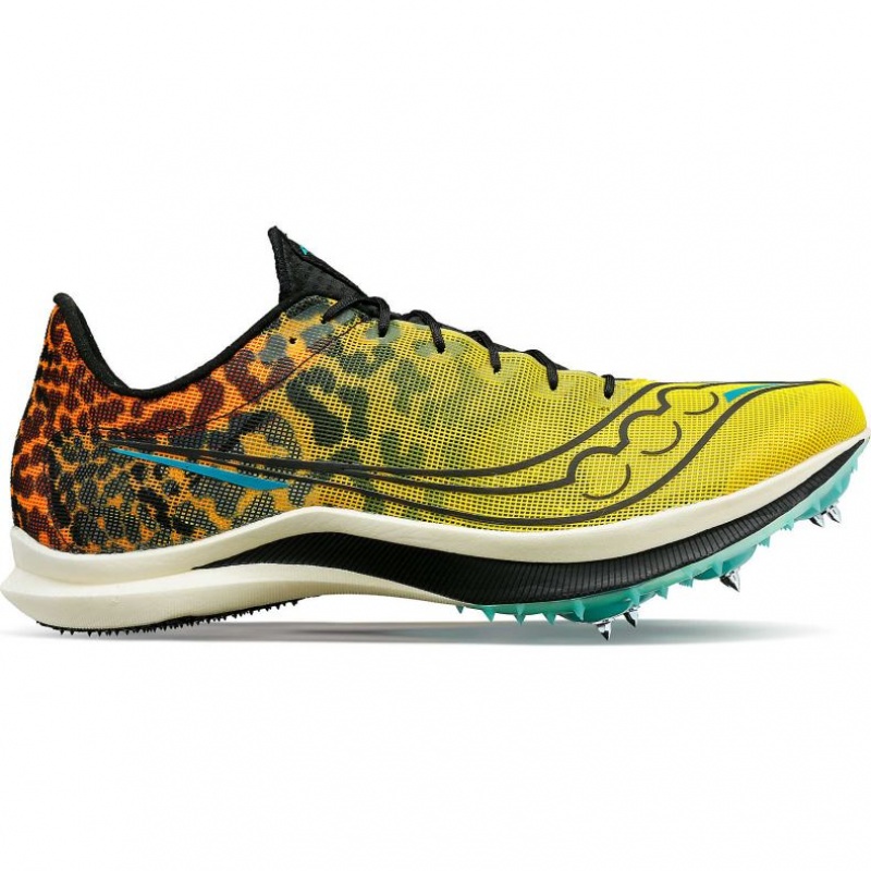 Saucony Endorphin Cheetah Laufschuhe Herren Mehrfarbig | SCHWEIZ EMJPQ