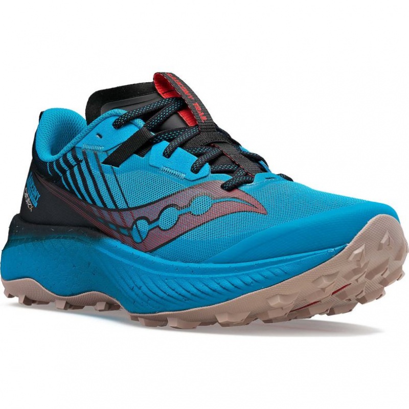 Saucony Endorphin Edge Trailrunning Schuhe Herren Blau | SCHWEIZ CYQEB