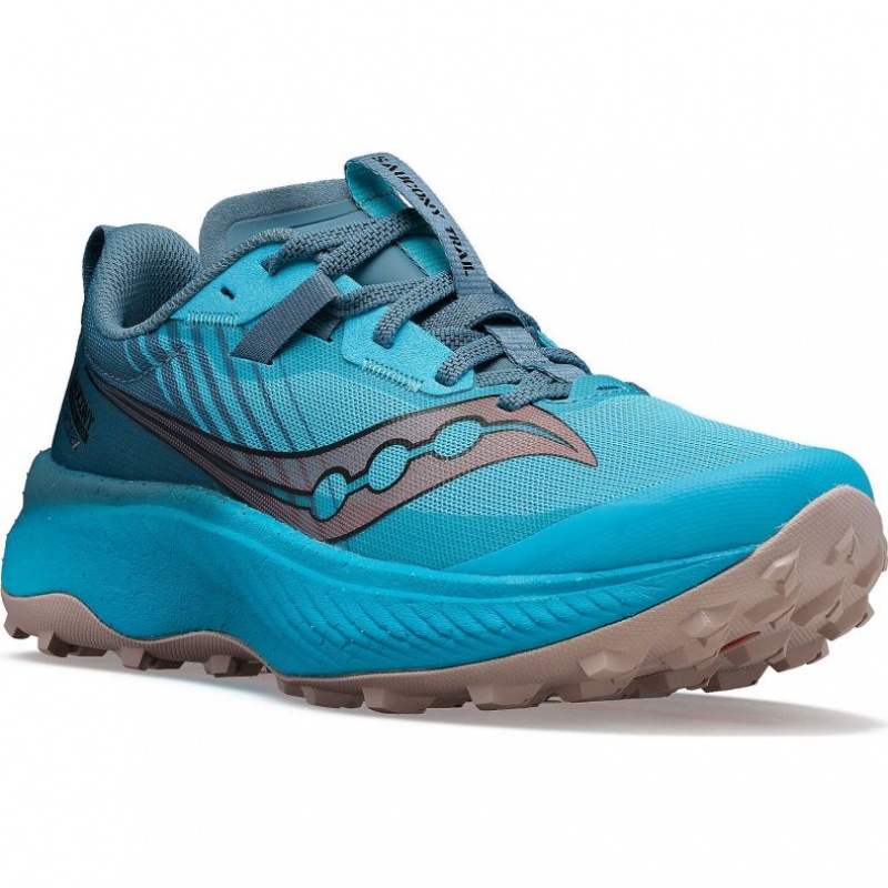 Saucony Endorphin Edge Trailrunning Schuhe Damen Blau | SCHWEIZ DEYNC