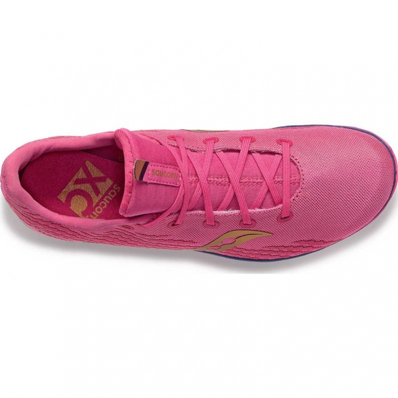 Saucony Havok XC 3 Leichtathletikschuhe Herren Rosa | SCHWEIZ ZABOW