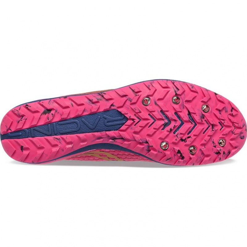 Saucony Havok XC 3 Leichtathletikschuhe Herren Rosa | SCHWEIZ ZABOW