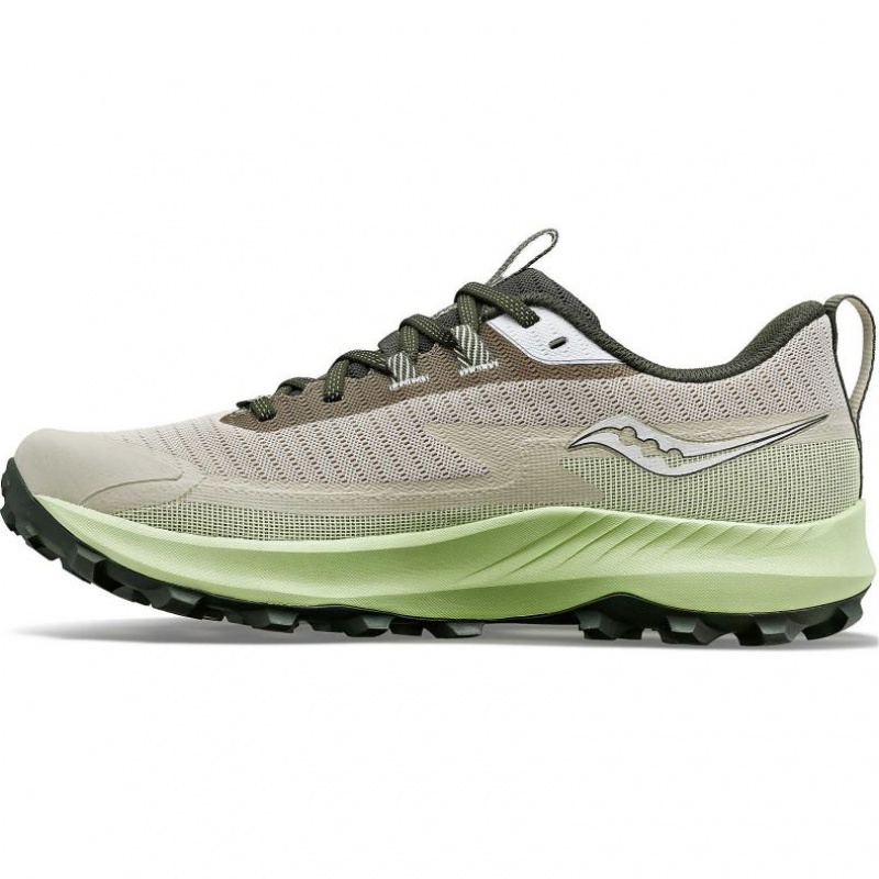 Saucony Peregrine 13 GTX Laufschuhe Herren Grau Mintfarben | SCHWEIZ QKYVP