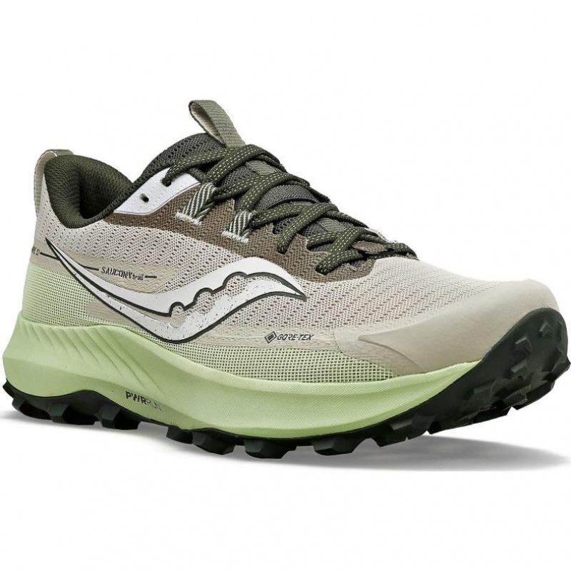 Saucony Peregrine 13 GTX Laufschuhe Herren Grau Mintfarben | SCHWEIZ QKYVP