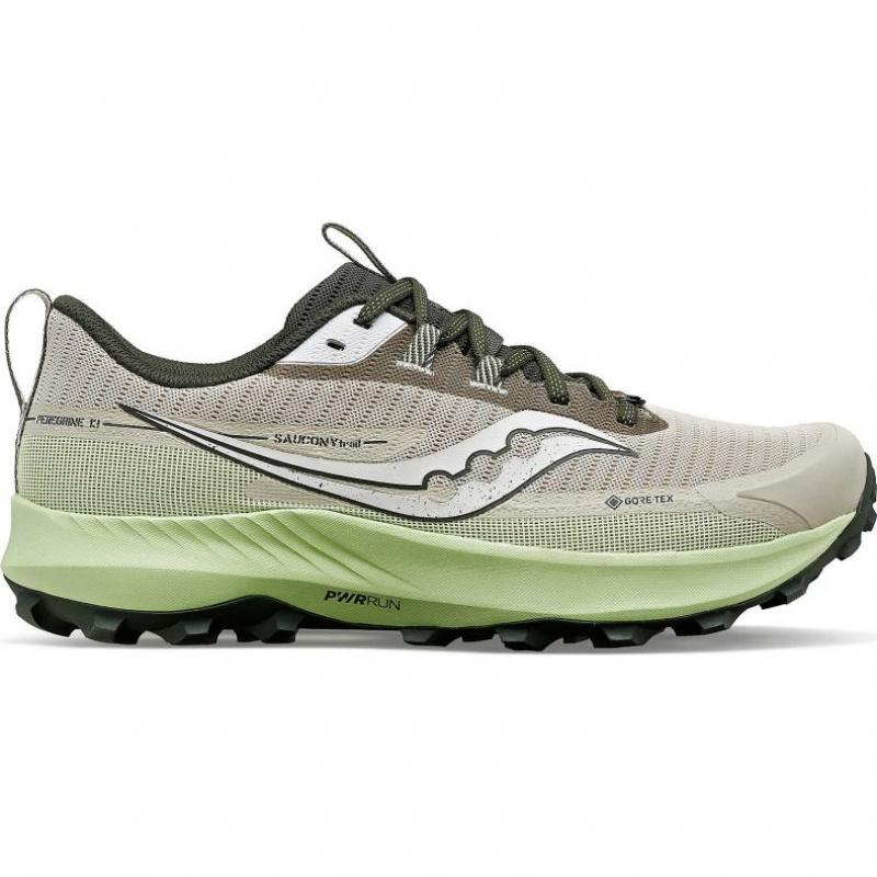 Saucony Peregrine 13 GTX Laufschuhe Herren Grau Mintfarben | SCHWEIZ QKYVP