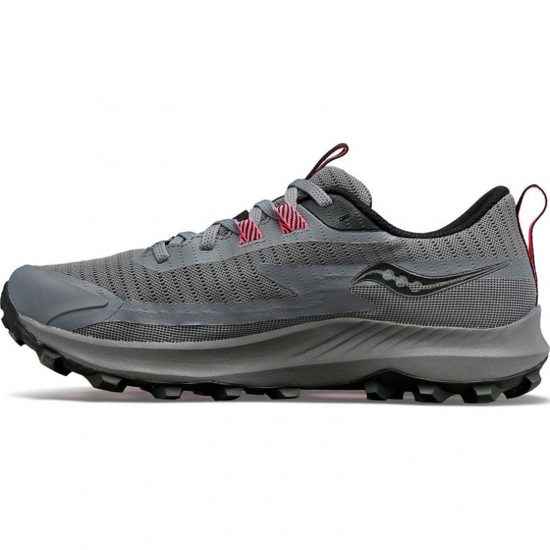 Saucony Peregrine 13 GTX Trailrunning Schuhe Damen Grau | SCHWEIZ FOMVJ