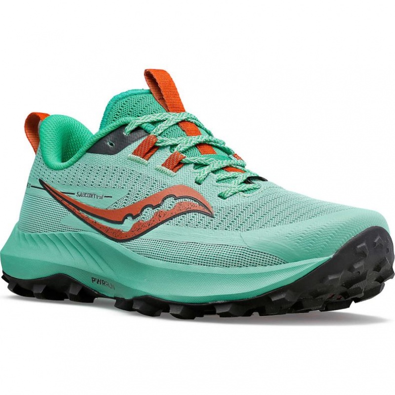 Saucony Peregrine 13 Trailrunning Schuhe Damen Türkis | SCHWEIZ XVKIQ