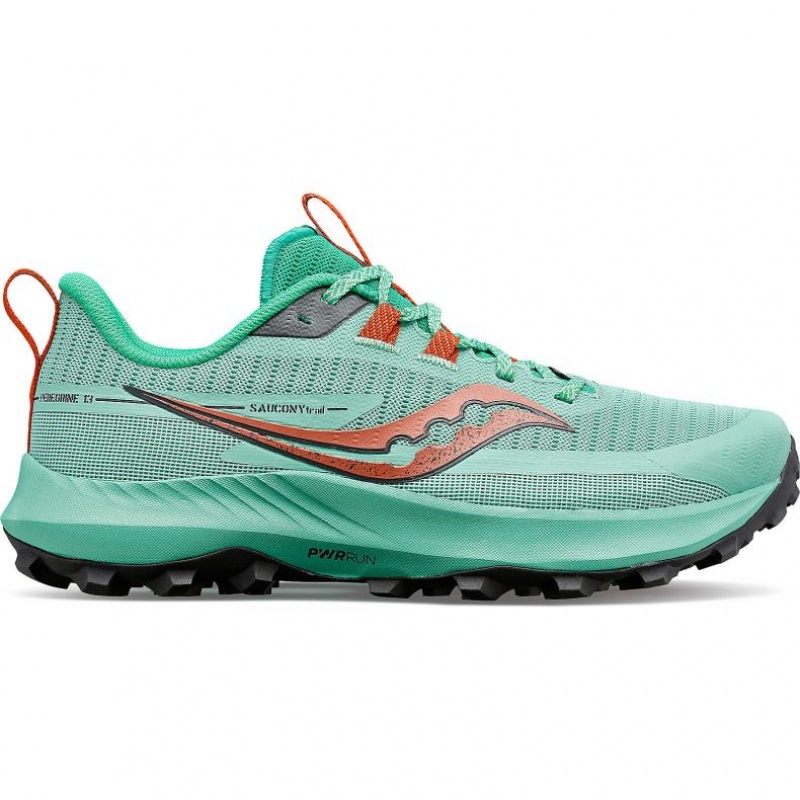 Saucony Peregrine 13 Trailrunning Schuhe Damen Türkis | SCHWEIZ XVKIQ