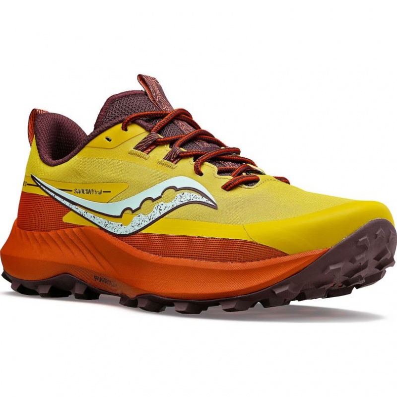 Saucony Peregrine 13 Trailrunning Schuhe Damen Gelb | SCHWEIZ IDMYS