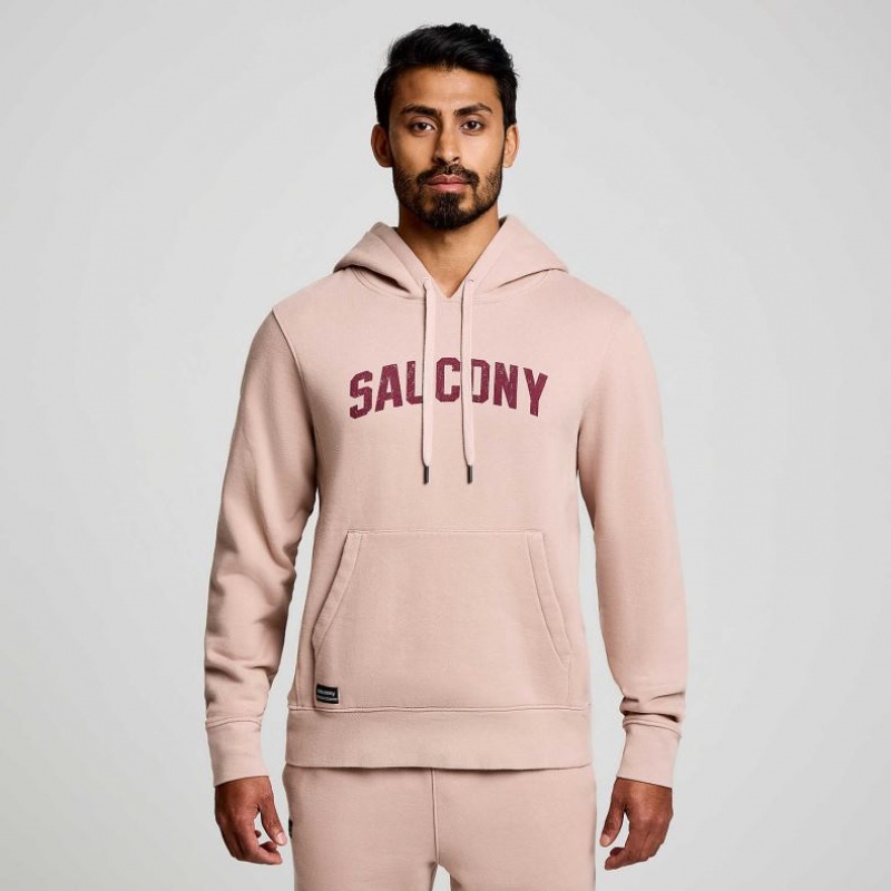 Saucony Recovery Hoodie Herren Rosa | SCHWEIZ GMFHQ